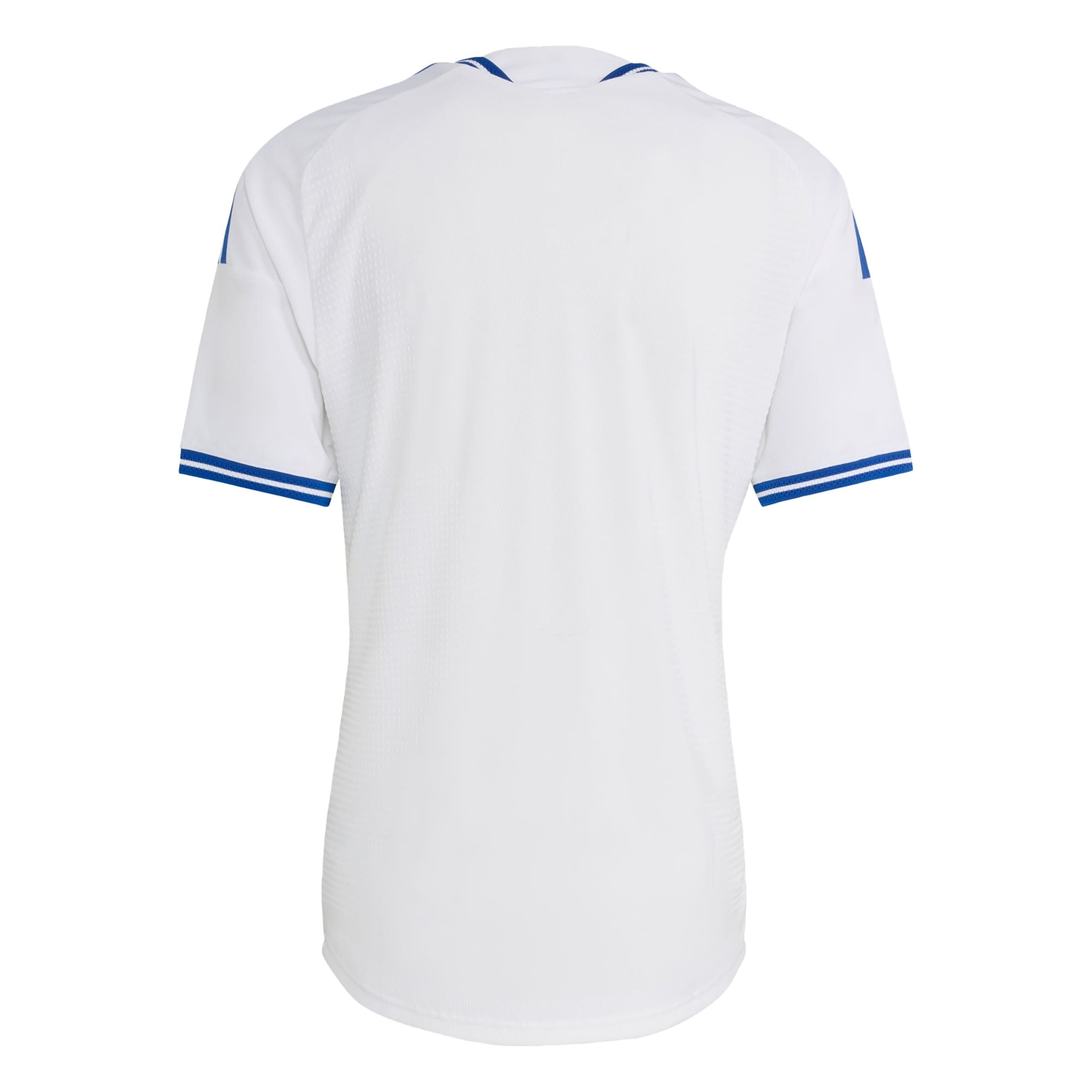 Maglia funzionale 'Griechenland 26 Authentic' di ADIDAS PERFORMANCE in bianco