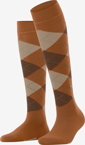 BURLINGTON Overknee Strümpfe 'Marylebone' in Braun: Vorderseite