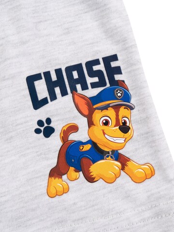 Paw Patrol Underpants in Mixed colours
