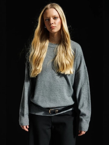 Pullover 'Pullover' di MixRay in grigio