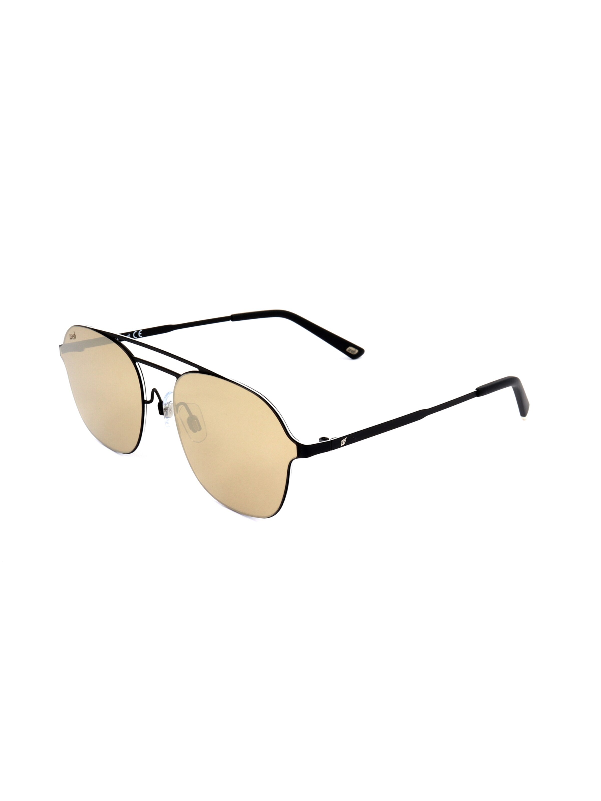 Occhiali da sole 'WE0248' di Web Eyewear in nero: frontale