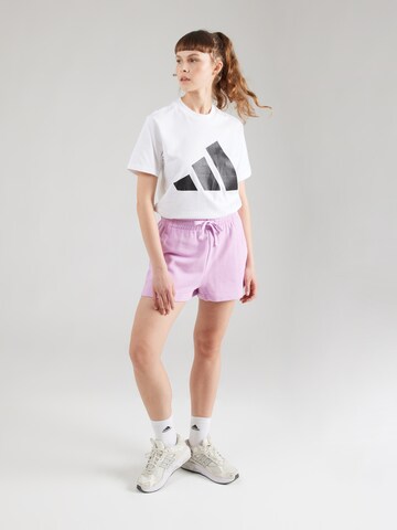 purpurinė ADIDAS SPORTSWEAR Standartinis Sportinės kelnės 'ALL SZN'