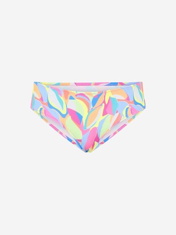 Penti Bikini nadrágok - vegyes színek