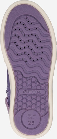 GEOX Sneaker in Lila