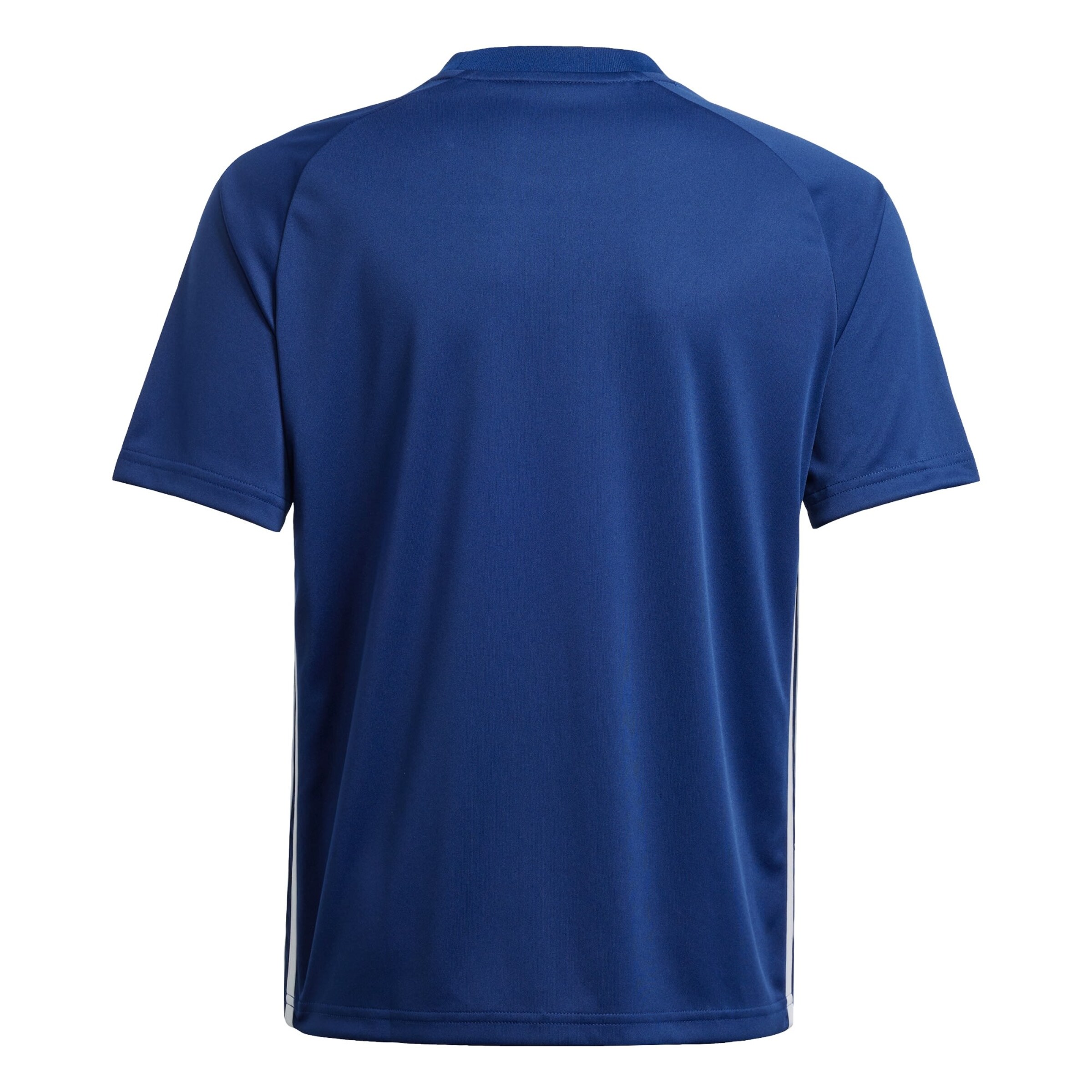 ADIDAS PERFORMANCE Funktsionaalne särk 'Tiro 25 Essentials', värv sinine