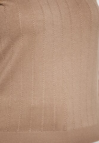 Usha Sweater in Beige