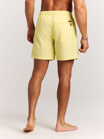 PROTEST Badeshorts 'Faster'‌‌‌ in Grün