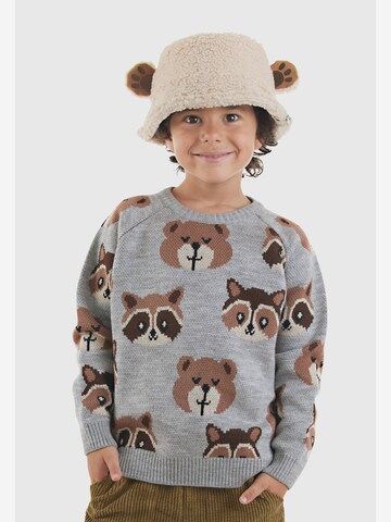 Pull-over ' CFF-25S-065 ' Denokids en gris : devant