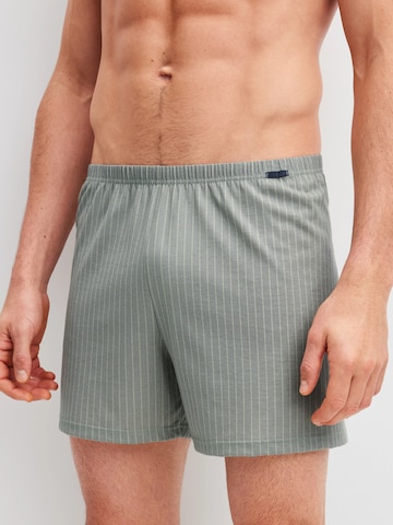 CALIDA Boxer shorts 'Prints' in Grey