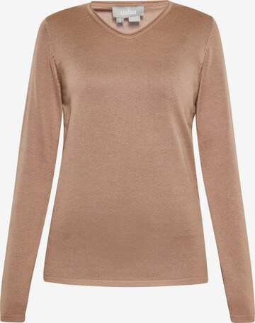 Pull-over Usha en marron : devant