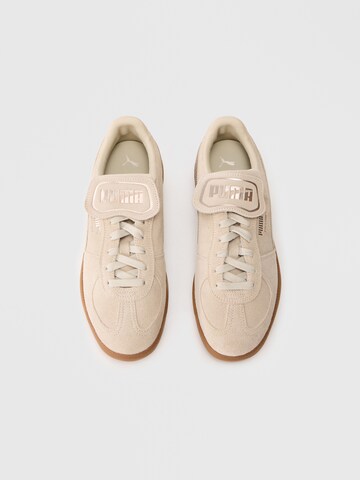 PUMA Nizke superge 'Palermo Premium' | rjava barva