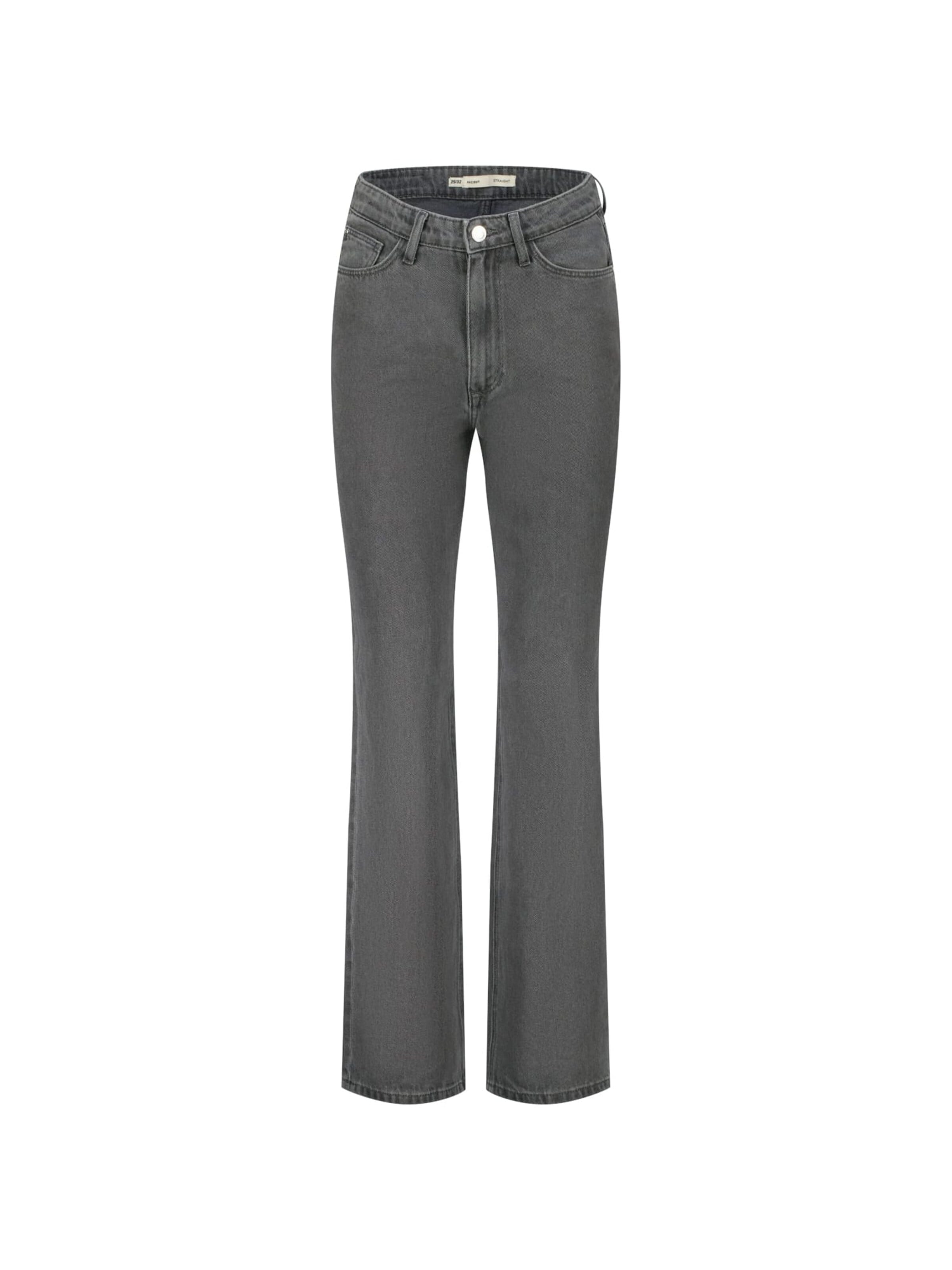 Raizzed Baggy Jeans in Grijs: voorkant
