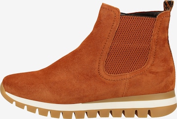 GABOR Chelsea boots in Bruin