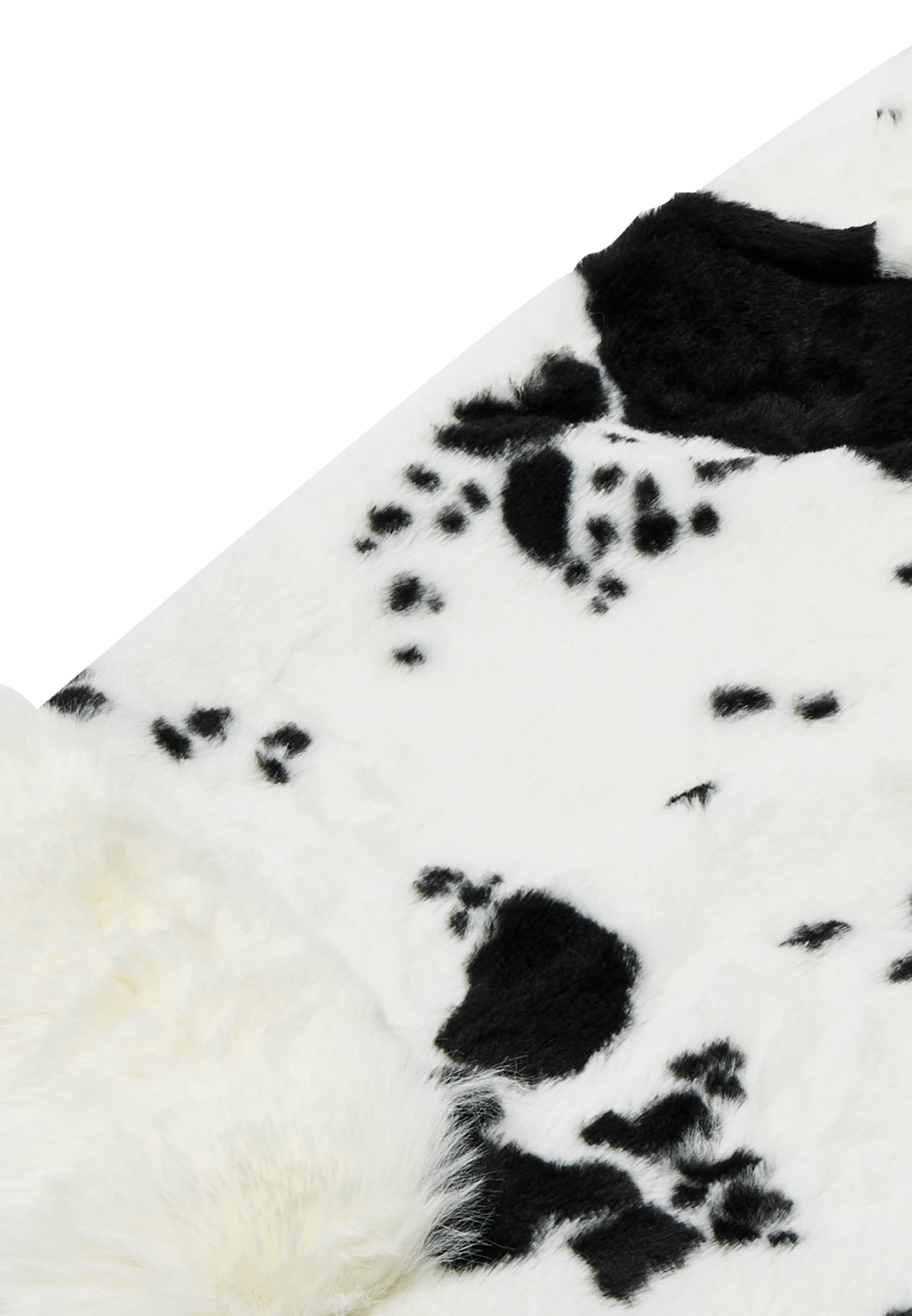 IMALA - Capa em branco