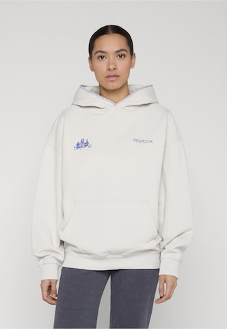 Pegador Sweatshirt 'Sigtuna' in Grijs: voorkant