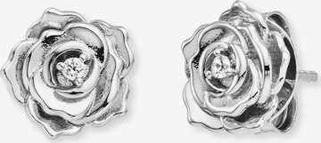 Engelsrufer Earrings in Silver: front