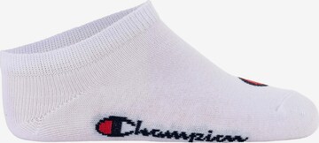 Champion Authentic Athletic Apparel Socks in Blue