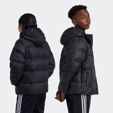 ADIDAS ORIGINALS Winter Jacket 'Adicolor' in Black: front