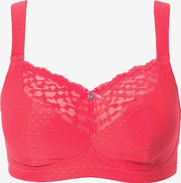Ulla Popken Bra in Pink: front