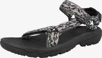 Sandalo di TEVA in grigio: frontale