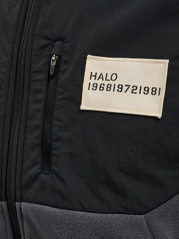 HALO Vest in Black