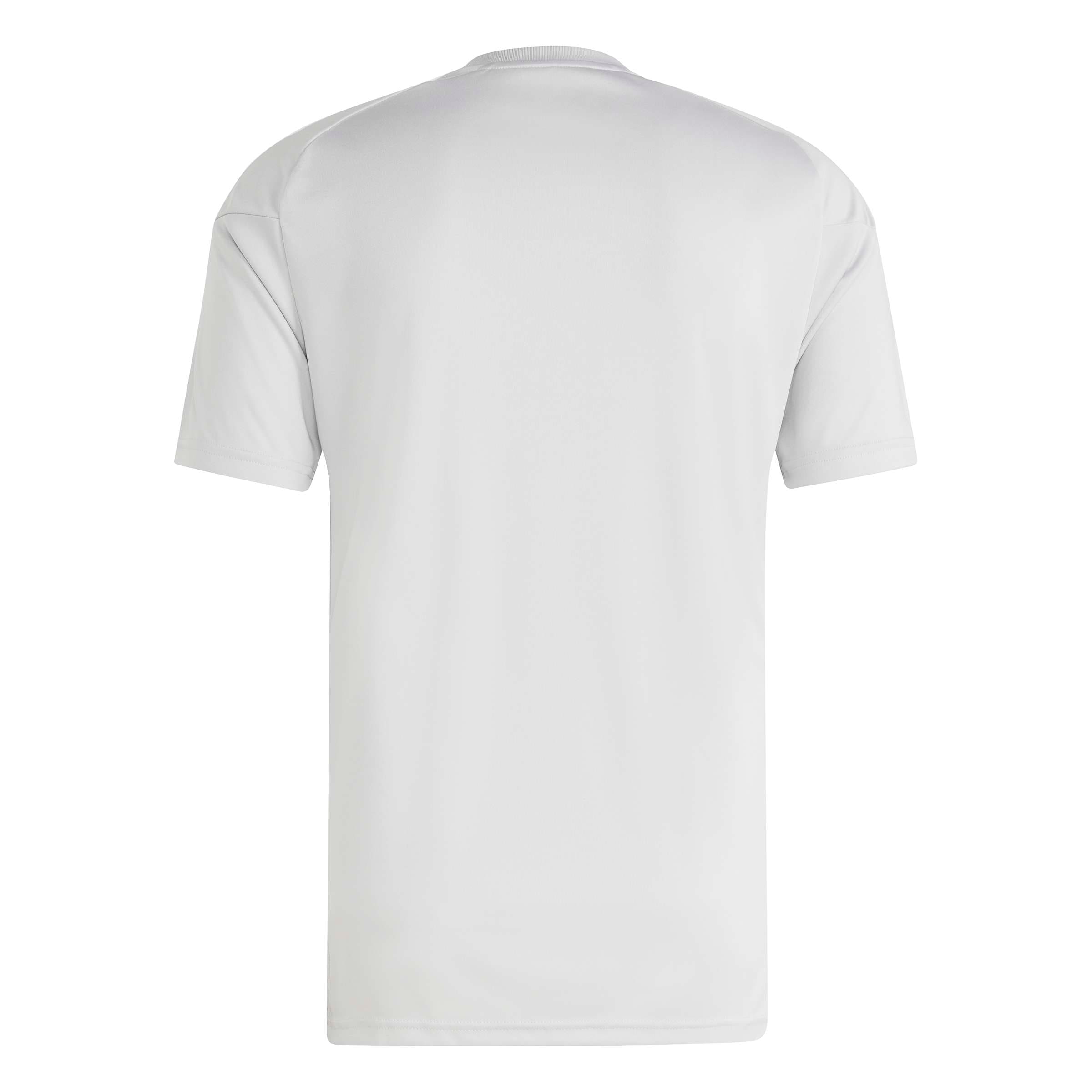 ADIDAS PERFORMANCE Funktsionaalne särk 'TIRO26L', värv hall