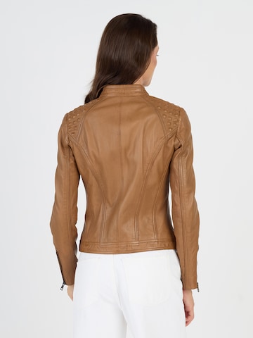 JCC Tussenjas 'Cabira' in Bruin