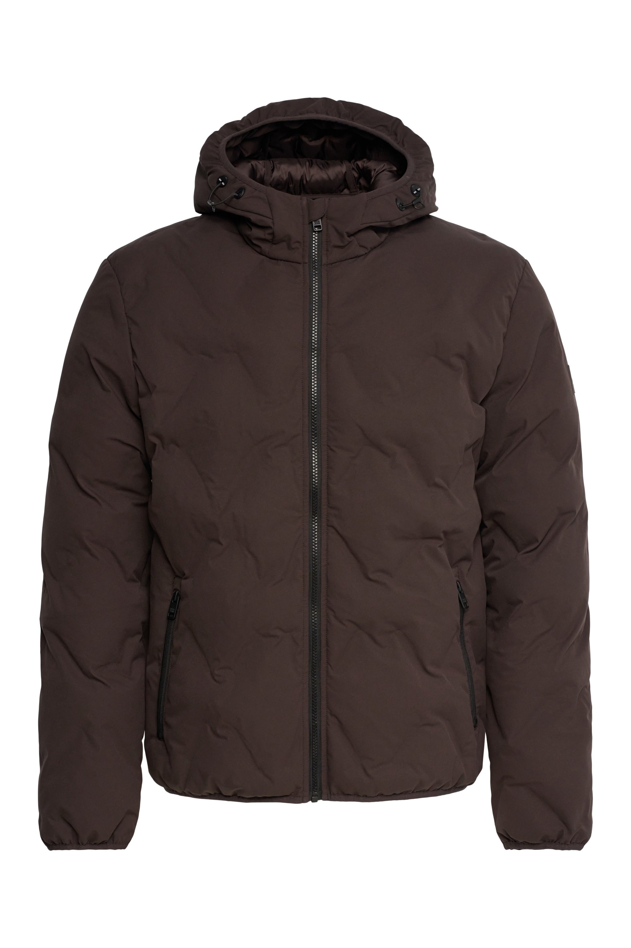 Salsa Jeans Winterjas in Bruin: voorkant
