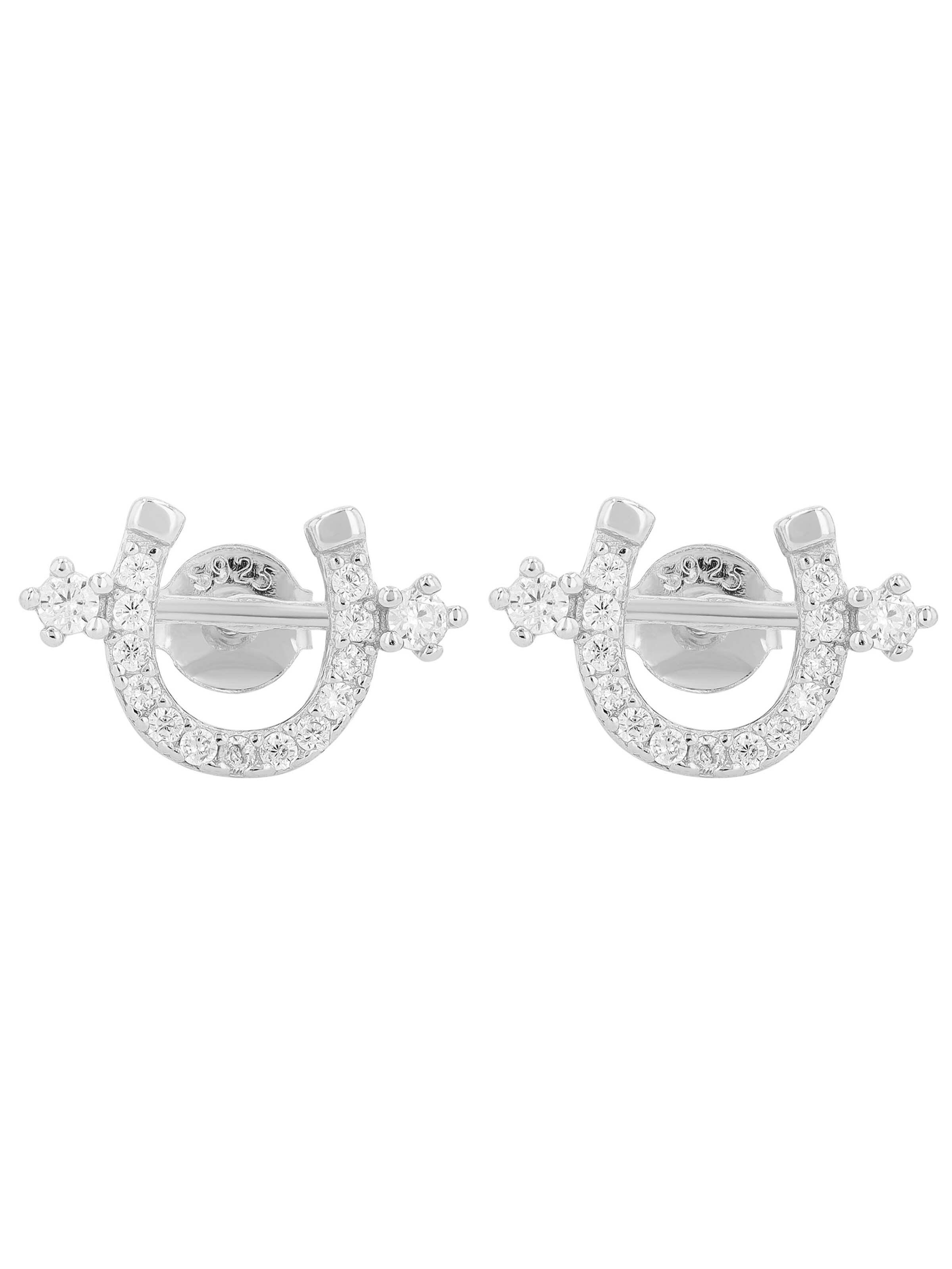 Akzent Earrings 'langlebig' in Silver: front