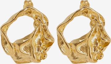 Orecchini 'Penelope' di Fräulein Wunder in oro: frontale