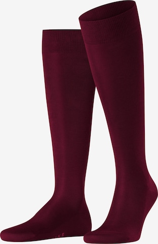 FALKE Knee High Socks 'Tiago' in Red: front