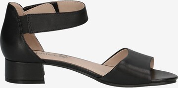 CAPRICE Sandals in Black