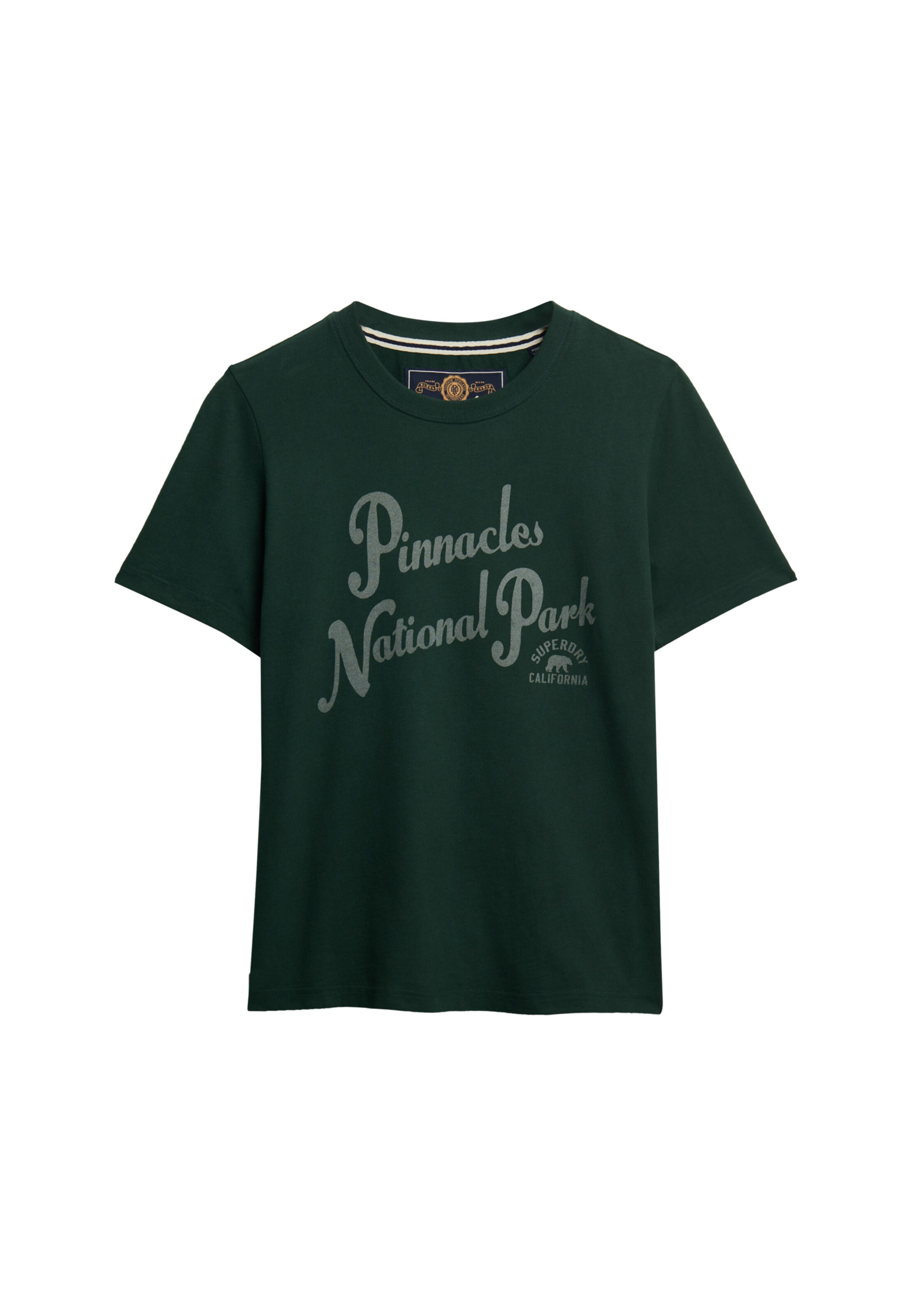 T-shirt Superdry & Co en vert : devant