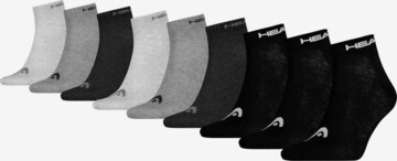 Chaussettes de sport HEAD en gris : devant