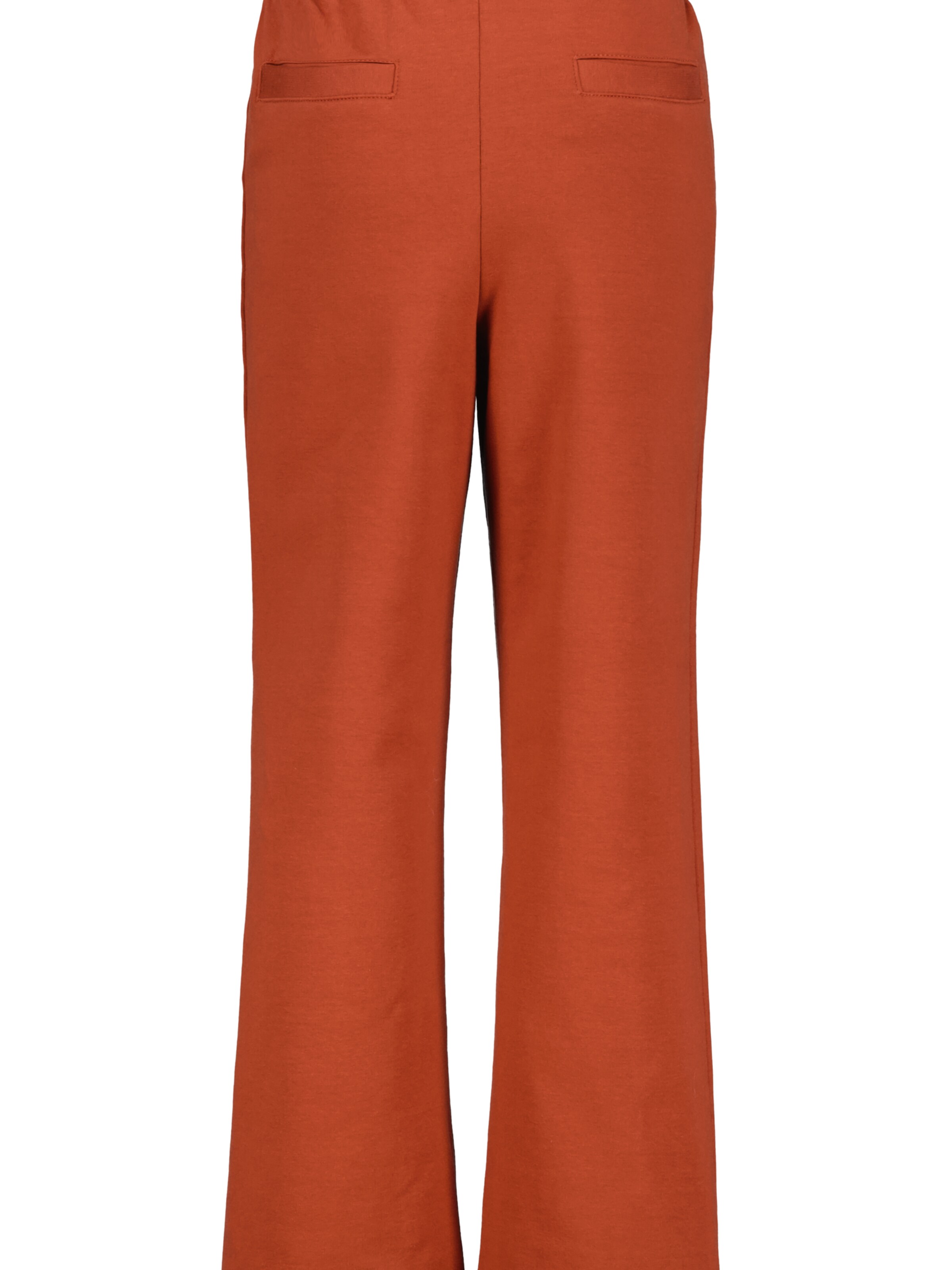 4PRESIDENT Regular Pants 'Isla' in Brown