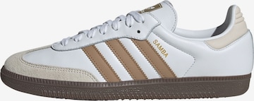 ADIDAS ORIGINALS - Sapatilhas baixas 'Samba' em branco: frente