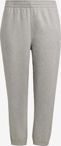 ADIDAS ORIGINALS Pants in Grey: front