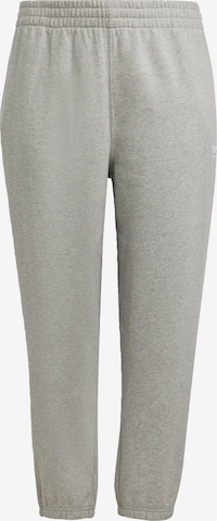 ADIDAS ORIGINALS Tapered Hose in Grau: predná strana