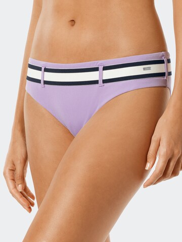 SCHIESSER Bikini Bottoms ' Aqua Californian Dream ' in Purple: front