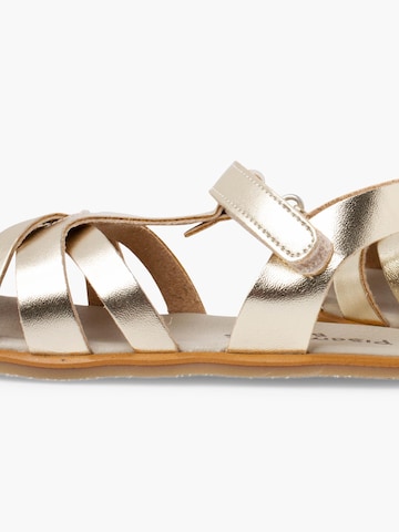 Pisamonas Sandal in Gold