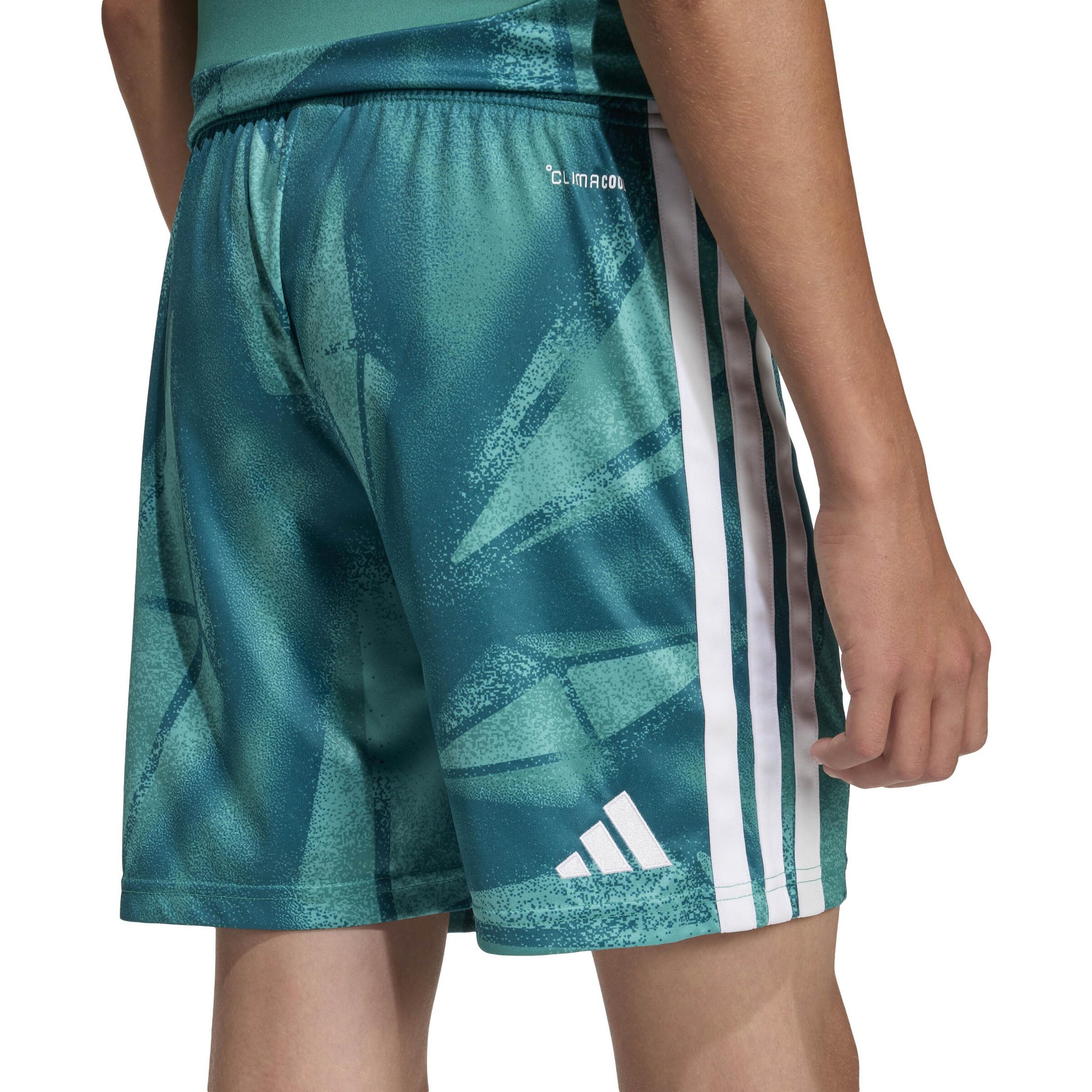 žalia ADIDAS PERFORMANCE Standartinis Sportinės kelnės 'DFB Torwart Home'