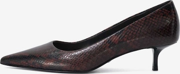 Dune LONDON Pumps in Bruin: voorkant