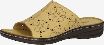 CAPRICE Mules in Yellow: front