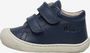NATURINO Sneaker 'COCOON' in Blau: Vorderseite