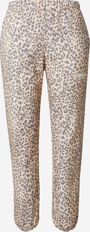 Ragdoll LA Tapered Broek in Bruin: voorkant