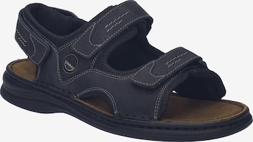 JOSEF SEIBEL Sandals 'Franklyn' in Black: front