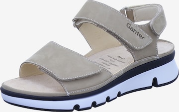 Ganter Sandals 'Gianna' in Grey: front
