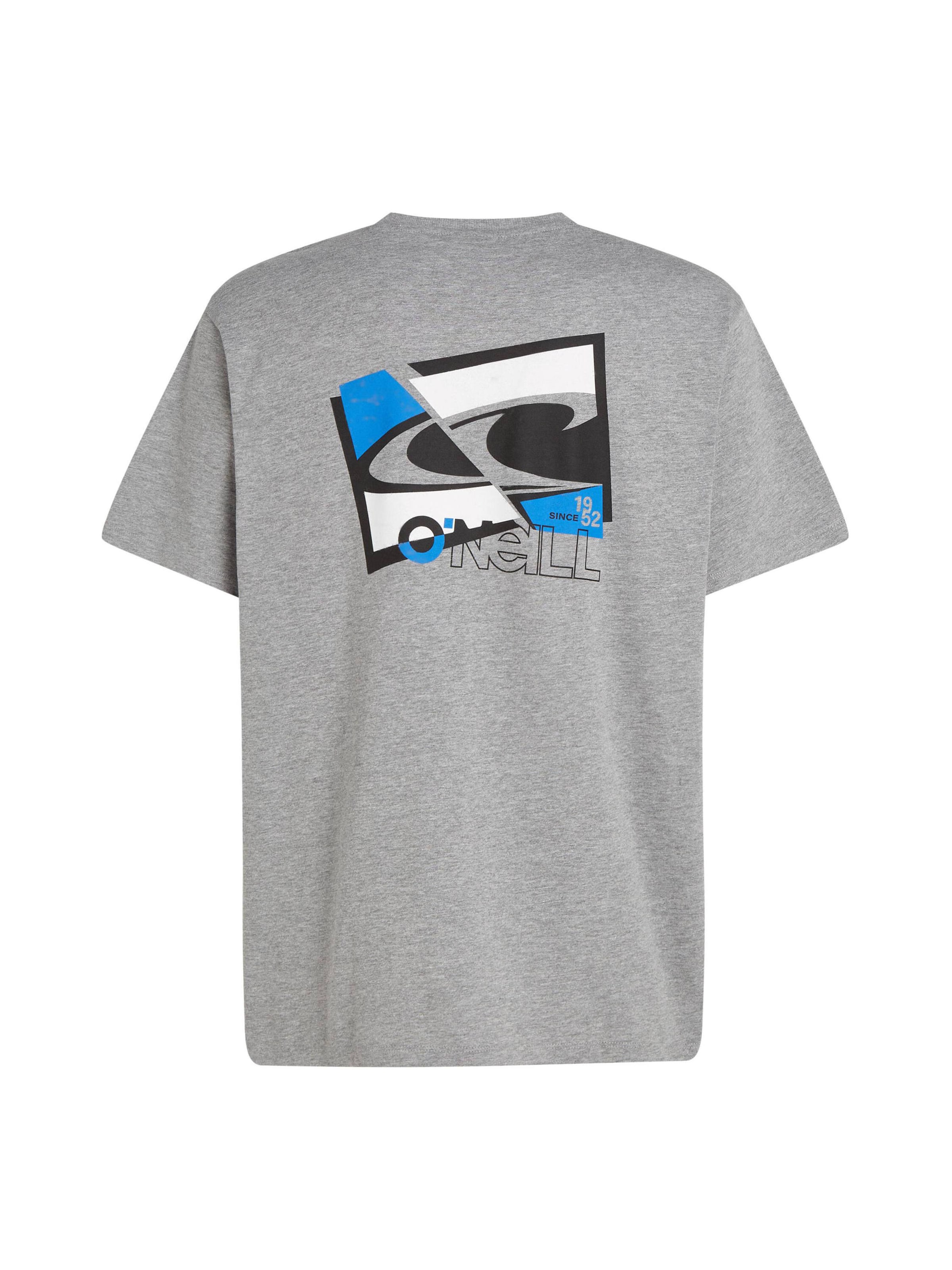 O'NEILL Shirt 'Essentials 90s' in Grey