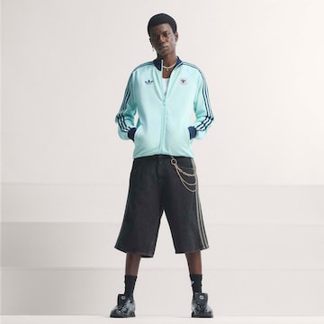 Veste fonctionnelle 'Deutschland' ADIDAS PERFORMANCE en bleu