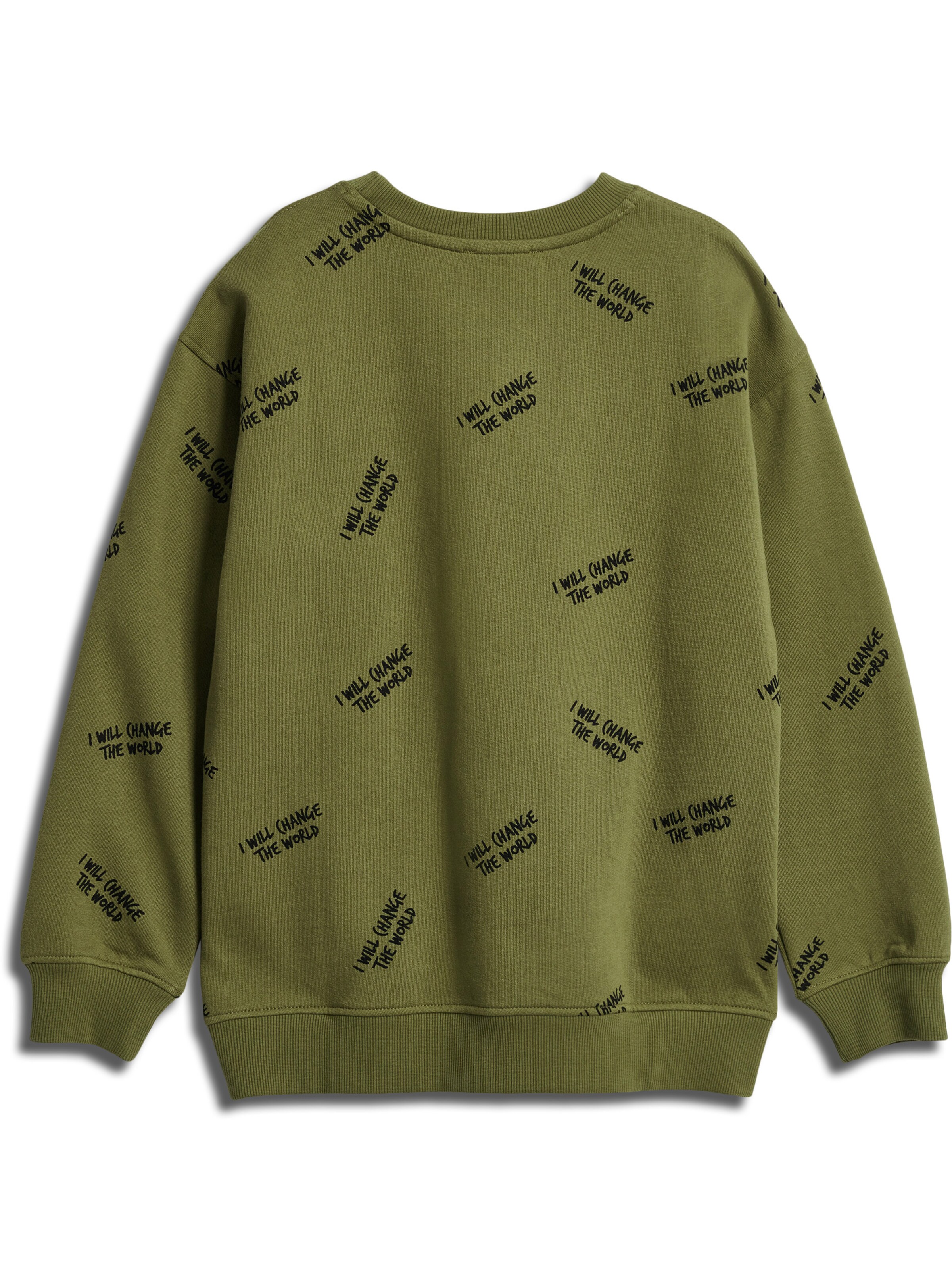 SOMETIME SOON Sweatshirt 'Milos' i grøn